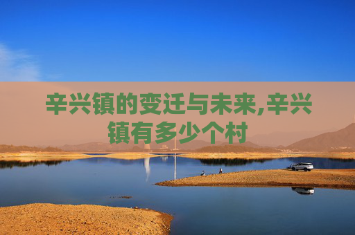 辛兴镇的变迁与未来,辛兴镇有多少个村