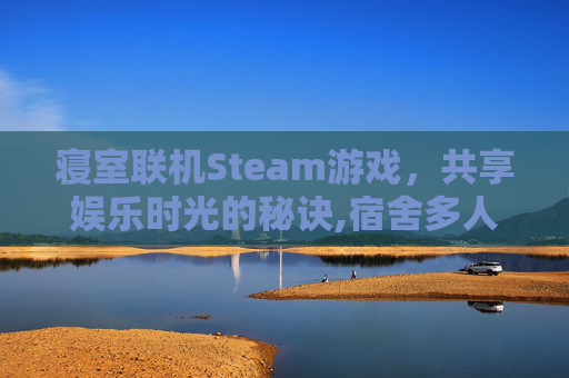 寝室联机Steam游戏，共享娱乐时光的秘诀,宿舍多人联机游戏