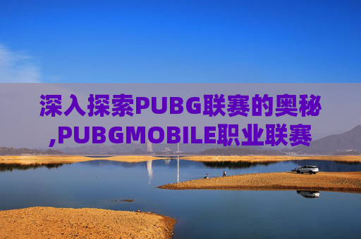 深入探索PUBG联赛的奥秘,PUBGMOBILE职业联赛