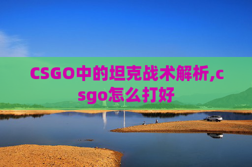 CSGO中的坦克战术解析,csgo怎么打好