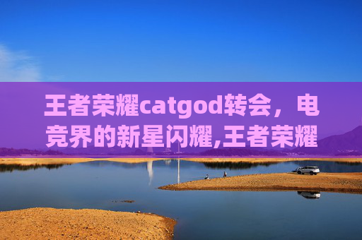 王者荣耀catgod转会，电竞界的新星闪耀,王者荣耀转会期大名单