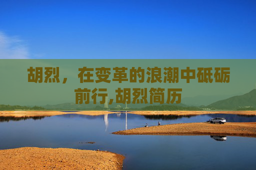 胡烈，在变革的浪潮中砥砺前行,胡烈简历