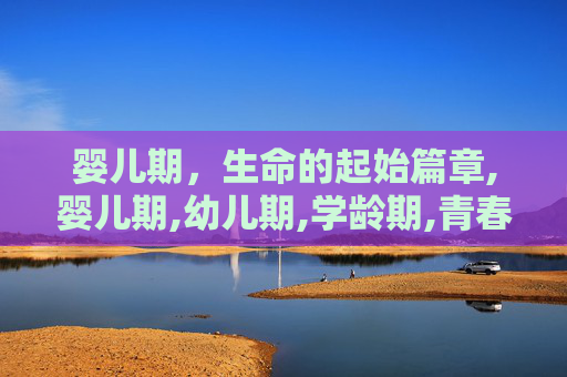 婴儿期，生命的起始篇章,婴儿期,幼儿期,学龄期,青春期和成人期的年龄段