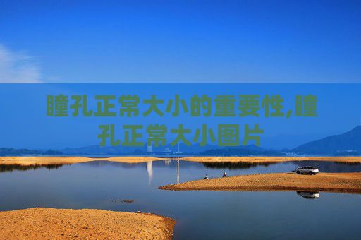瞳孔正常大小的重要性,瞳孔正常大小图片