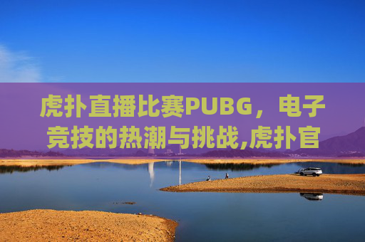 虎扑直播比赛PUBG，电子竞技的热潮与挑战,虎扑官网pubg