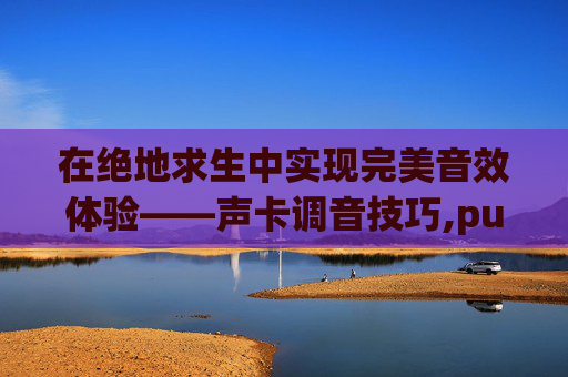 在绝地求生中实现完美音效体验——声卡调音技巧,pubg职业选手声卡设置