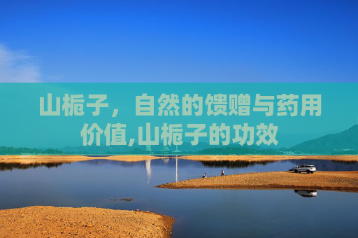 山栀子，自然的馈赠与药用价值,山栀子的功效