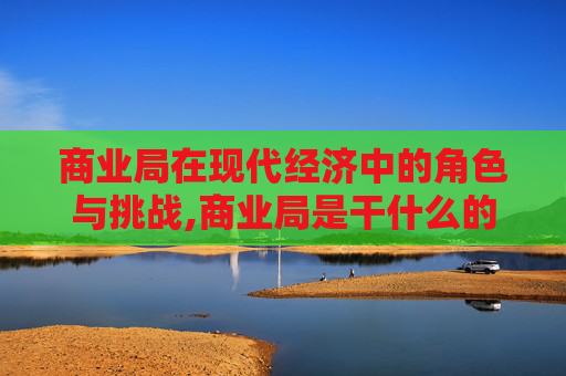 商业局在现代经济中的角色与挑战,商业局是干什么的