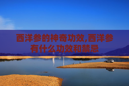 西洋参的神奇功效,西洋参有什么功效和禁忌