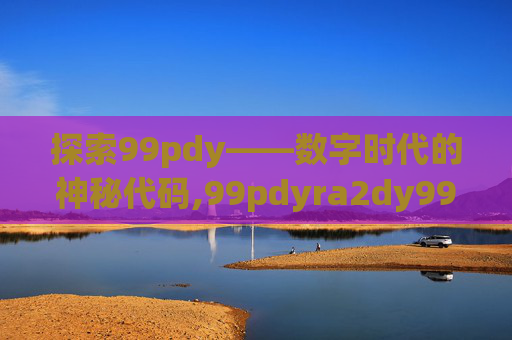 探索99pdy——数字时代的神秘代码,99pdyra2dy999