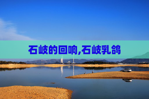 石岐的回响,石岐乳鸽