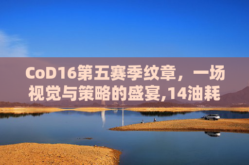 CoD16第五赛季纹章，一场视觉与策略的盛宴,14油耗投多少钱一公里