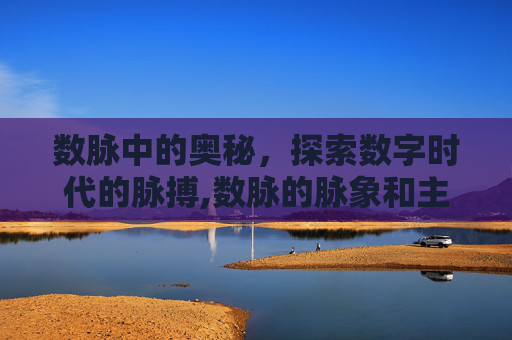 数脉中的奥秘，探索数字时代的脉搏,数脉的脉象和主病