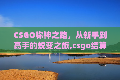 CSGO称神之路，从新手到高手的蜕变之旅,csgo结算称号