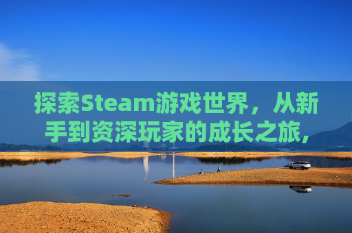 探索Steam游戏世界，从新手到资深玩家的成长之旅,Steam网游