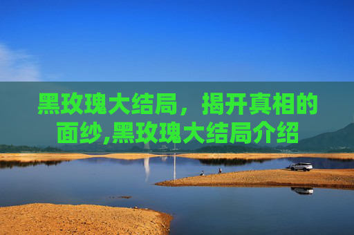 黑玫瑰大结局，揭开真相的面纱,黑玫瑰大结局介绍