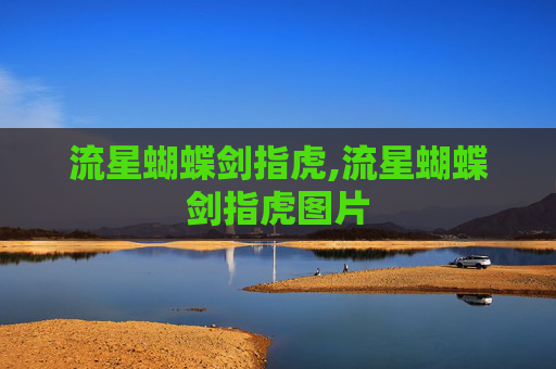 流星蝴蝶剑指虎,流星蝴蝶剑指虎图片