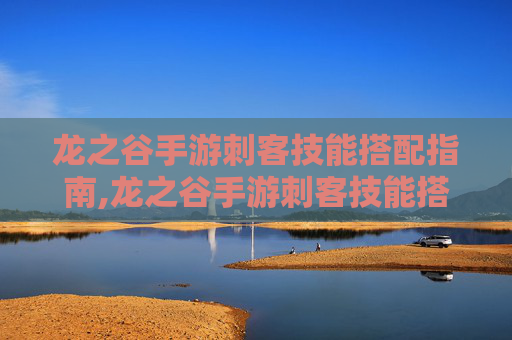 龙之谷手游刺客技能搭配指南,龙之谷手游刺客技能搭配图