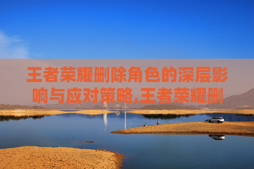 王者荣耀删除角色的深层影响与应对策略,王者荣耀删除角色可以恢复吗