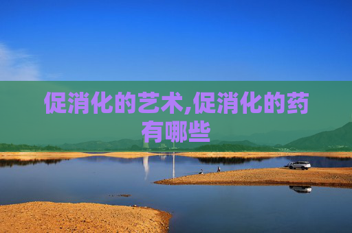 促消化的艺术,促消化的药有哪些