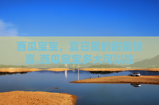 西瓜宝宝，夏日里的甜蜜惊喜,西瓜宝宝多大可以吃