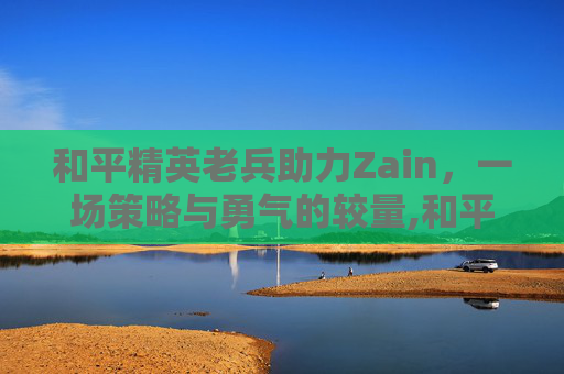 和平精英老兵助力Zain，一场策略与勇气的较量,和平精英老兵助力不见了