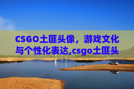 CSGO土匪头像，游戏文化与个性化表达,csgo土匪头像