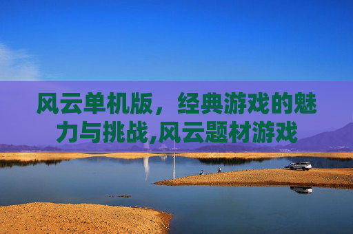 风云单机版，经典游戏的魅力与挑战,风云题材游戏