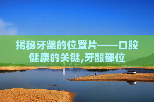揭秘牙龈的位置片——口腔健康的关键,牙龈部位