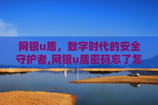 网银u盾，数字时代的安全守护者,网银u盾密码忘了怎么办