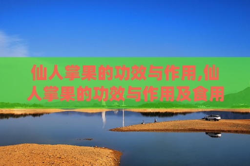 仙人掌果的功效与作用,仙人掌果的功效与作用及食用方法