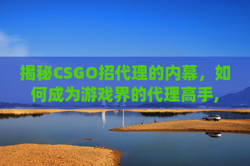 揭秘CSGO招代理的内幕，如何成为游戏界的代理高手,csgo的国内代理公司是什么