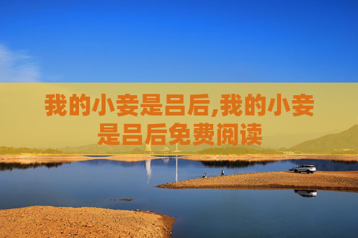 我的小妾是吕后,我的小妾是吕后免费阅读