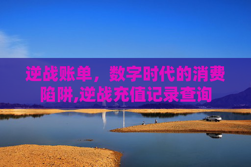 逆战账单，数字时代的消费陷阱,逆战充值记录查询