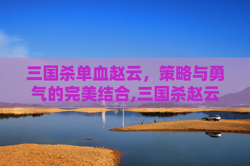 三国杀单血赵云，策略与勇气的完美结合,三国杀赵云技能详解