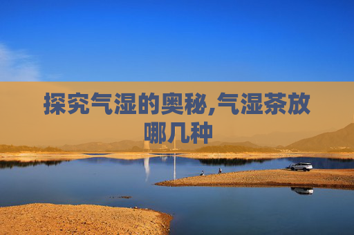探究气湿的奥秘,气湿茶放哪几种