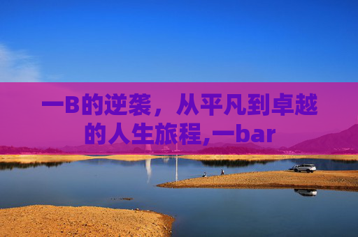 一B的逆袭，从平凡到卓越的人生旅程,一bar