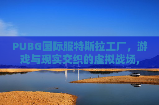 PUBG国际服特斯拉工厂，游戏与现实交织的虚拟战场,PUBG model国际