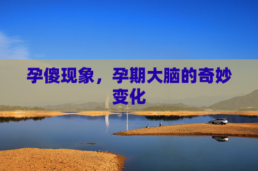 孕傻现象，孕期大脑的奇妙变化