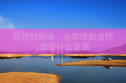 瘘管的奥秘，从病理到治疗,瘘管什么意思