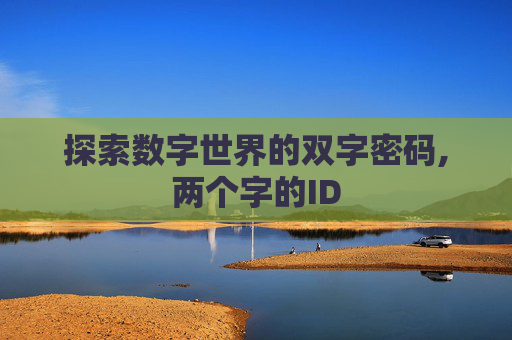 探索数字世界的双字密码,两个字的ID