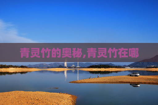 青灵竹的奥秘,青灵竹在哪