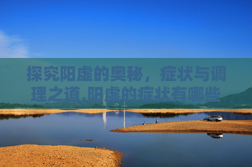 探究阳虚的奥秘，症状与调理之道,阳虚的症状有哪些