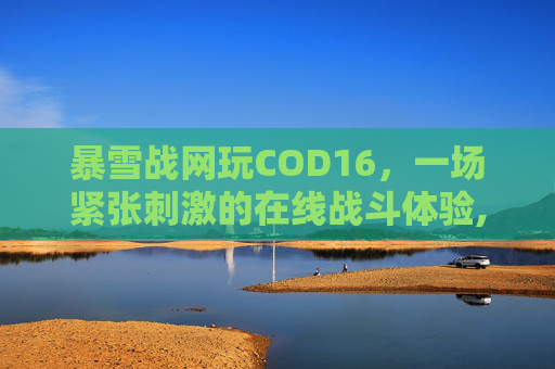 暴雪战网玩COD16，一场紧张刺激的在线战斗体验,暴雪战网玩游戏突然要电话号码