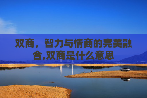 双商，智力与情商的完美融合,双商是什么意思