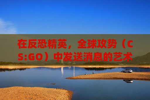 在反恐精英，全球攻势（CS:GO）中发送消息的艺术,csgo如何发消息