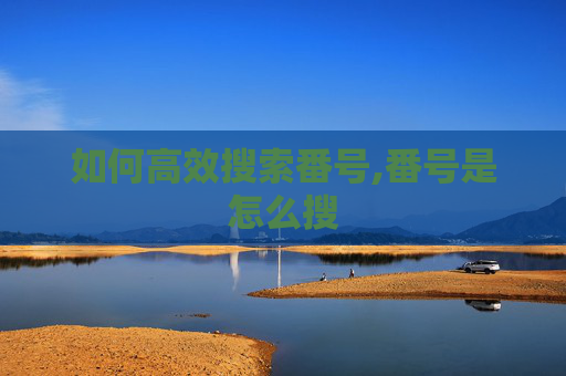 如何高效搜索番号,番号是怎么搜