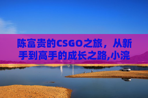 陈富贵的CSGO之旅，从新手到高手的成长之路,小浣熊陈富贵