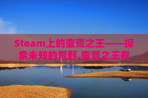 Steam上的蛮荒之王——探索未知的荒野,蛮荒之王有用吗