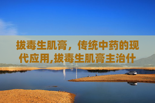 拔毒生肌膏，传统中药的现代应用,拔毒生肌膏主治什么